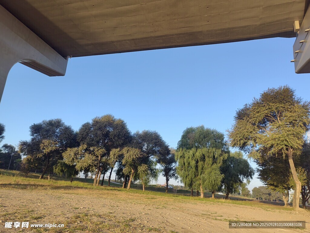 户外开阔草地与树木景观
