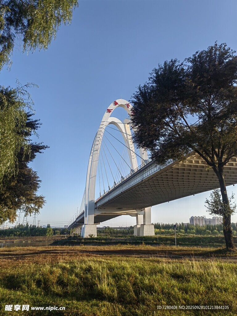 现代桥梁横跨开阔绿地