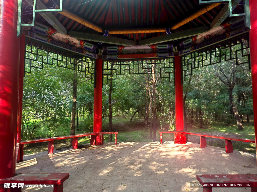 中式红柱凉亭于林间