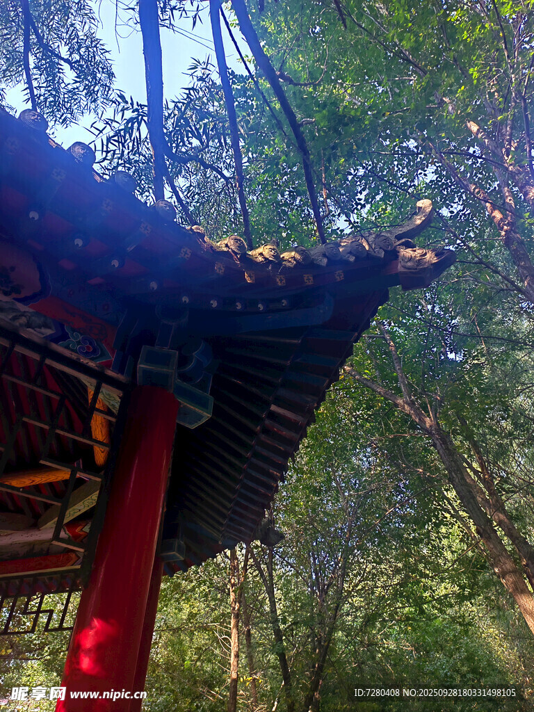 古亭立于葱郁林间