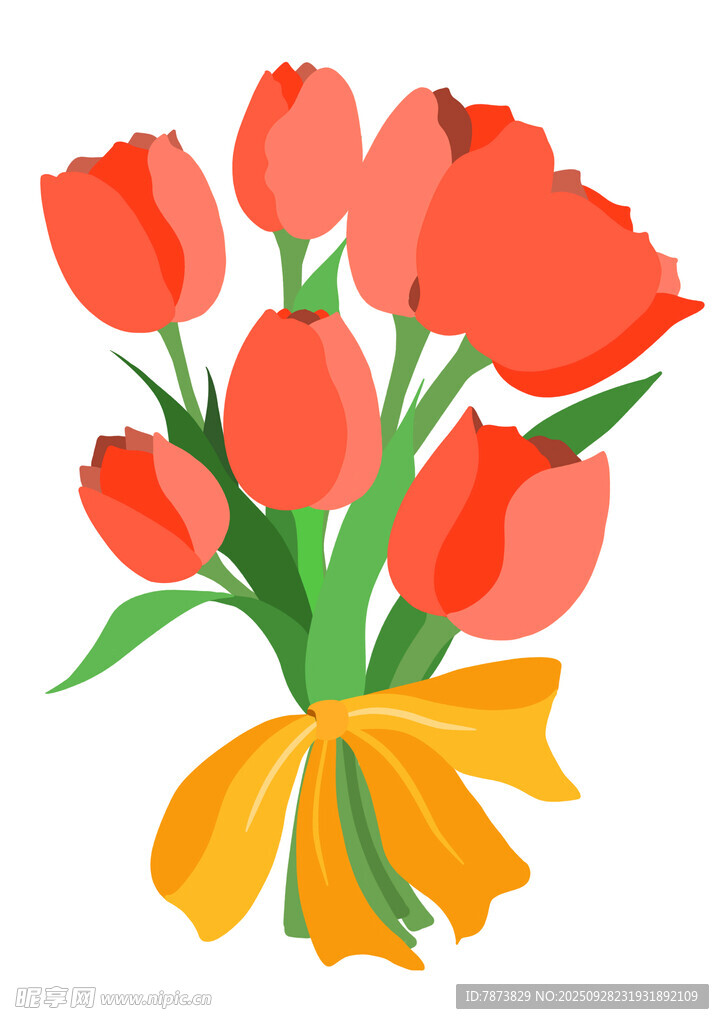 郁金香花束