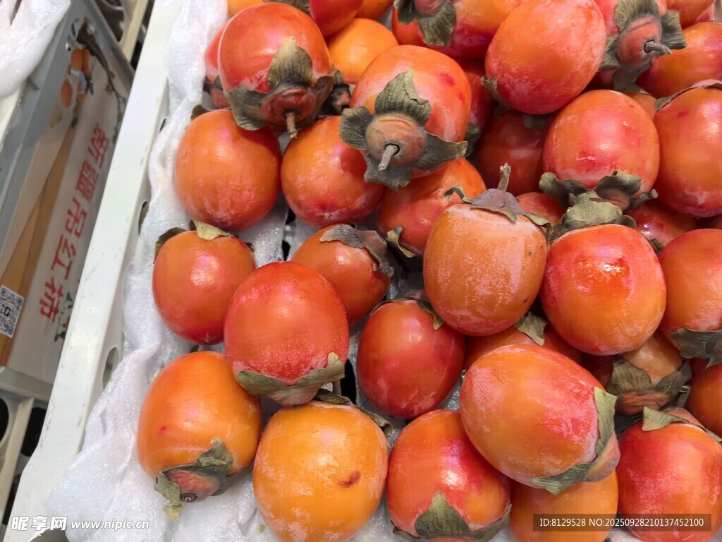 新鲜饱满的柿子堆成垛