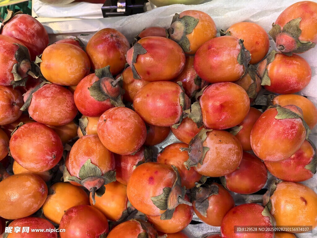 新鲜饱满的柿子堆叠