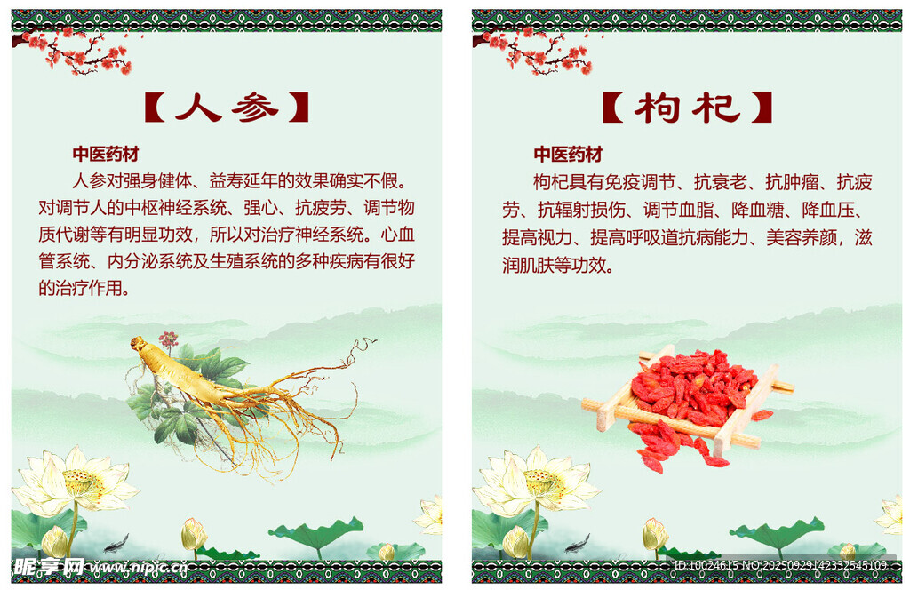 人参枸杞中药材介绍