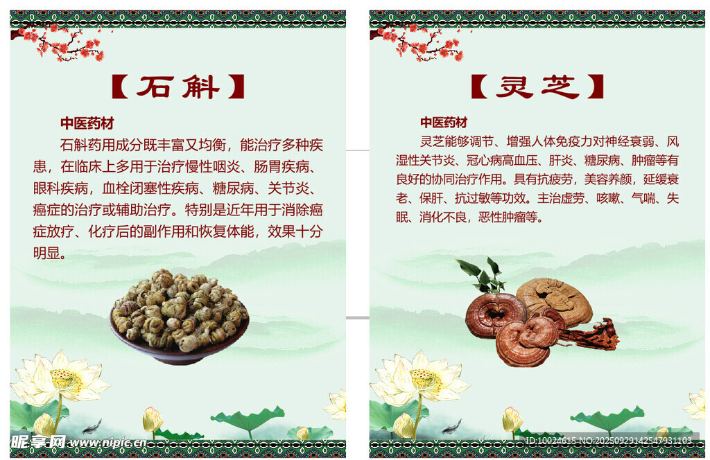 中药知识科普石斛与灵芝