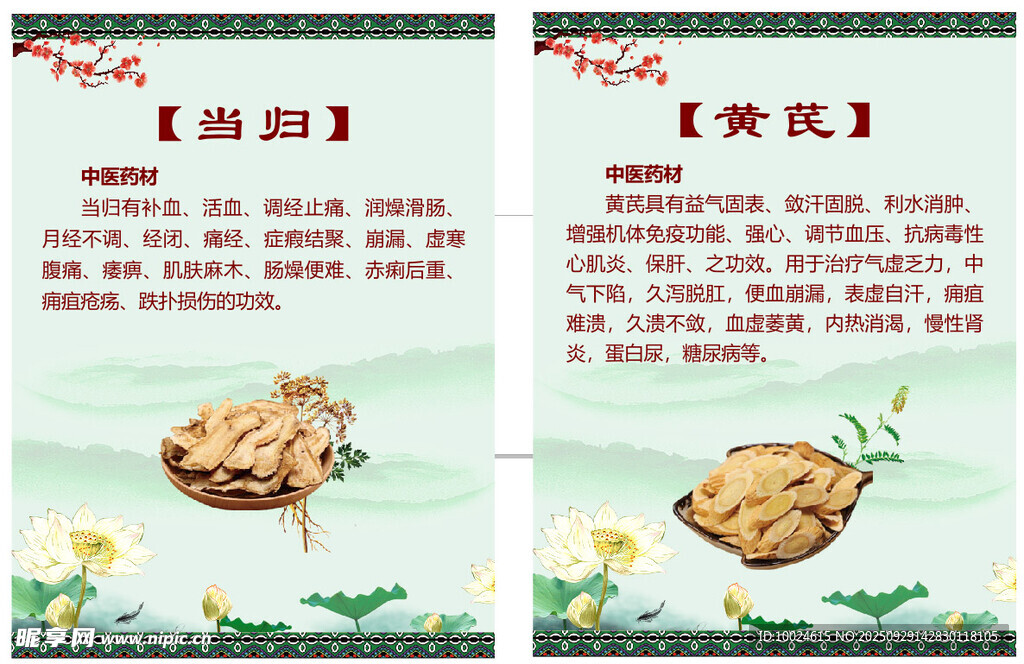 当归黄芪中药材介绍