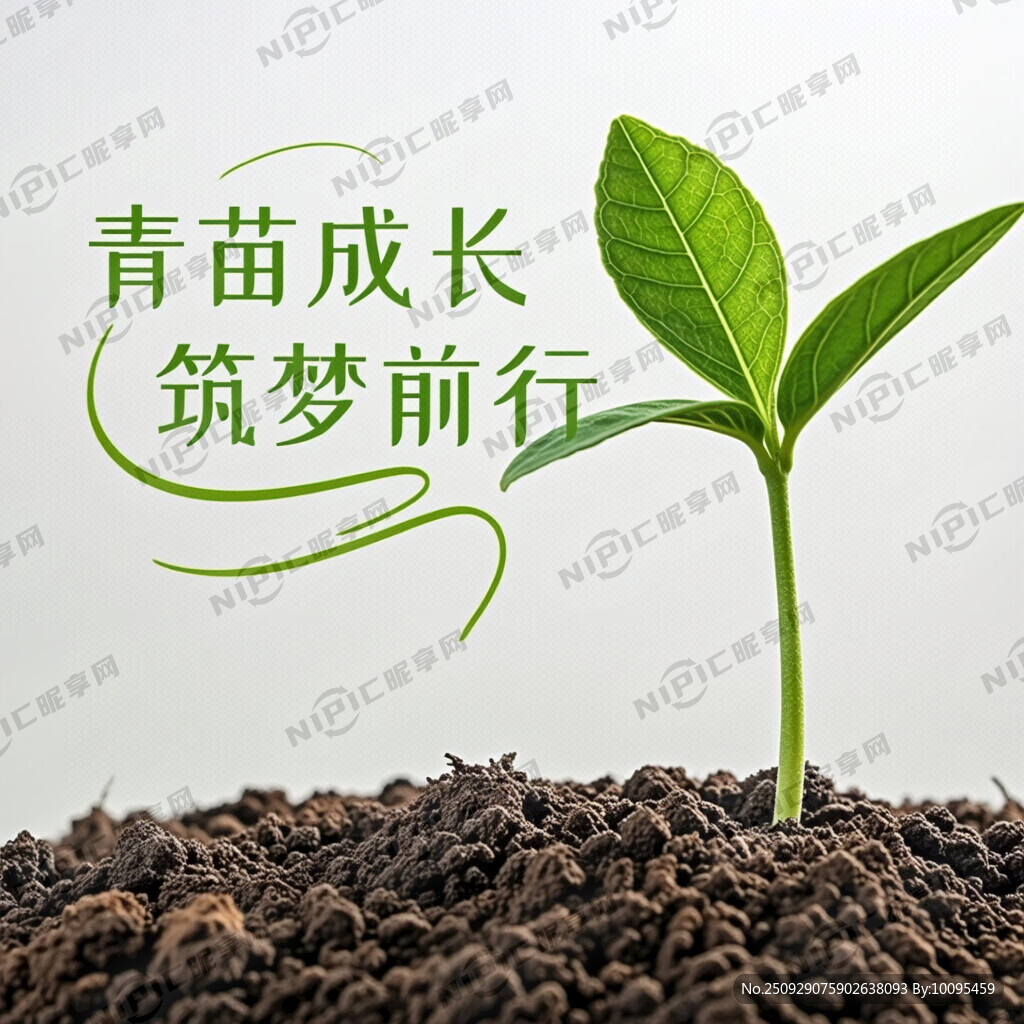 青苗成长 筑梦前行