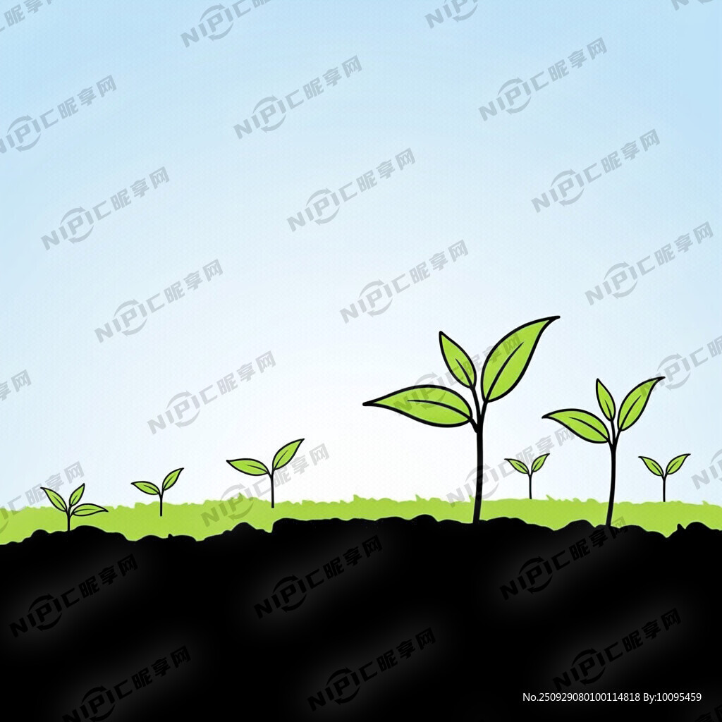 青苗成长 筑梦前行