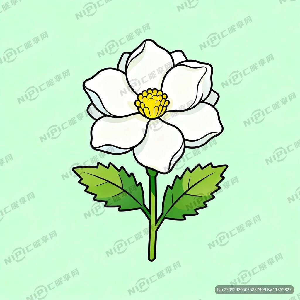 茉莉花矢量图