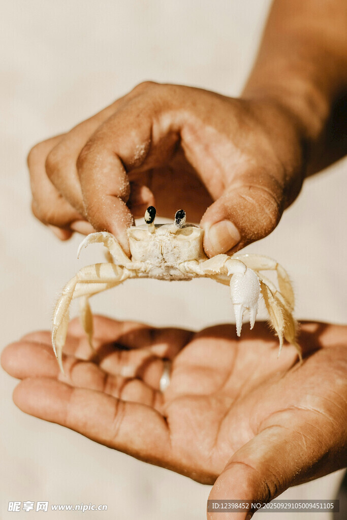手捧小螃蟹的温馨瞬间