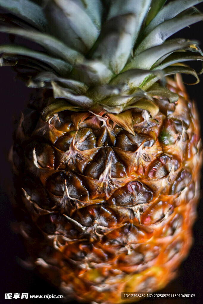 菠萝