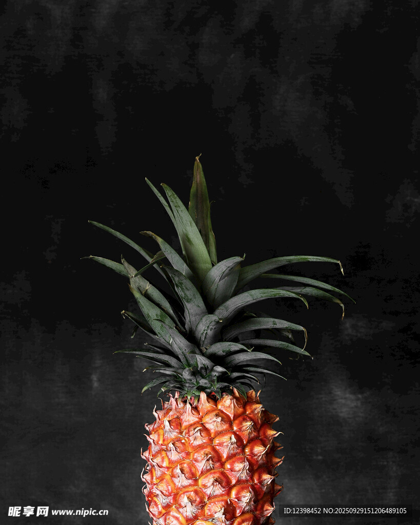 单个新鲜菠萝特写