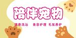 陪伴宠物  关爱与守护
