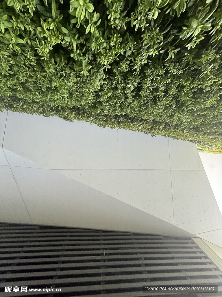 现代建筑旁的绿植景观