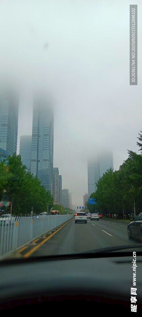 雾中城市道路景象