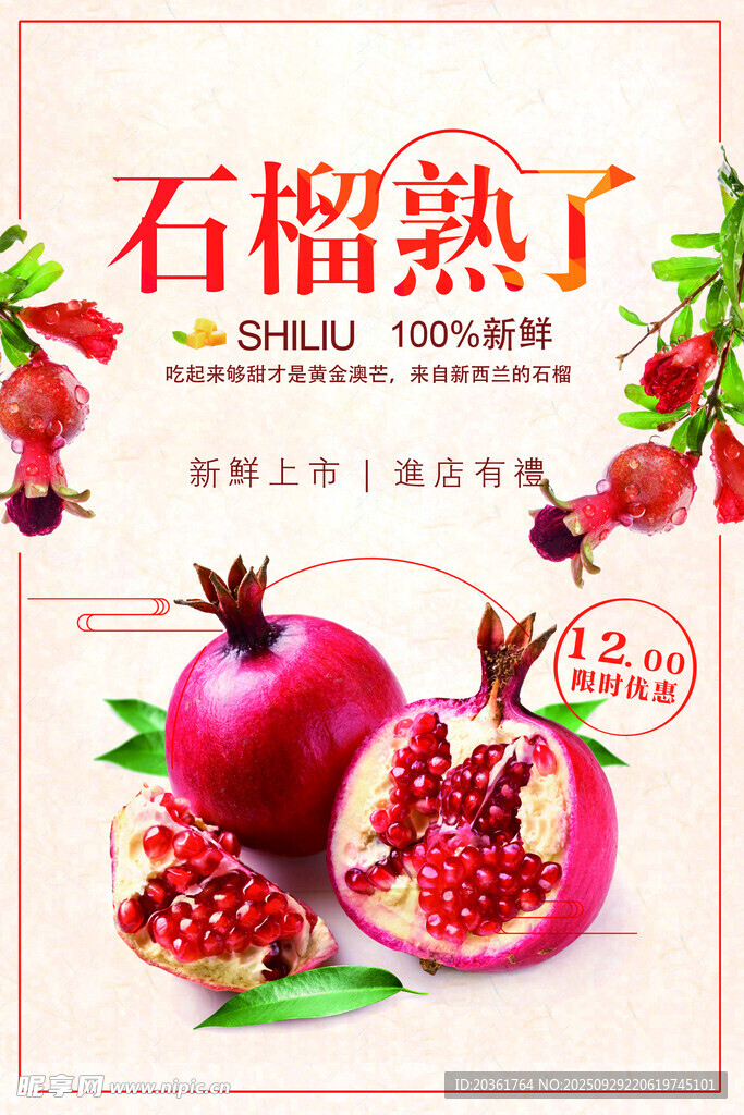 石榴海报