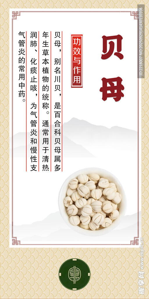 中药材 贝母展示