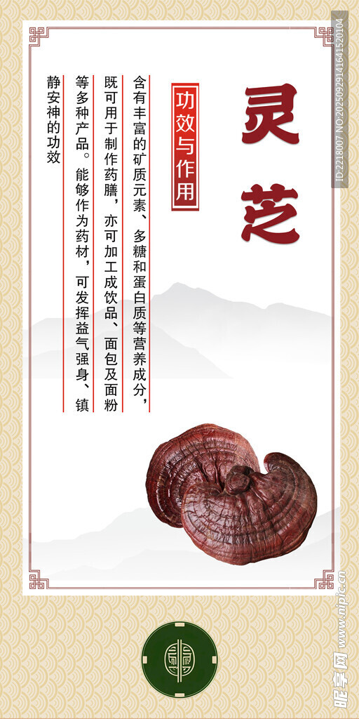 中药材 灵芝展示图