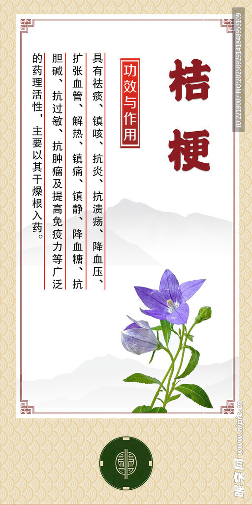 中药材 桔梗展示图