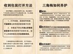 收纳技巧与三角梅养护知识