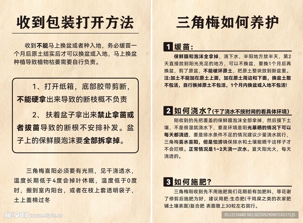 收纳技巧与三角梅养护知识