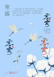 寒露素材