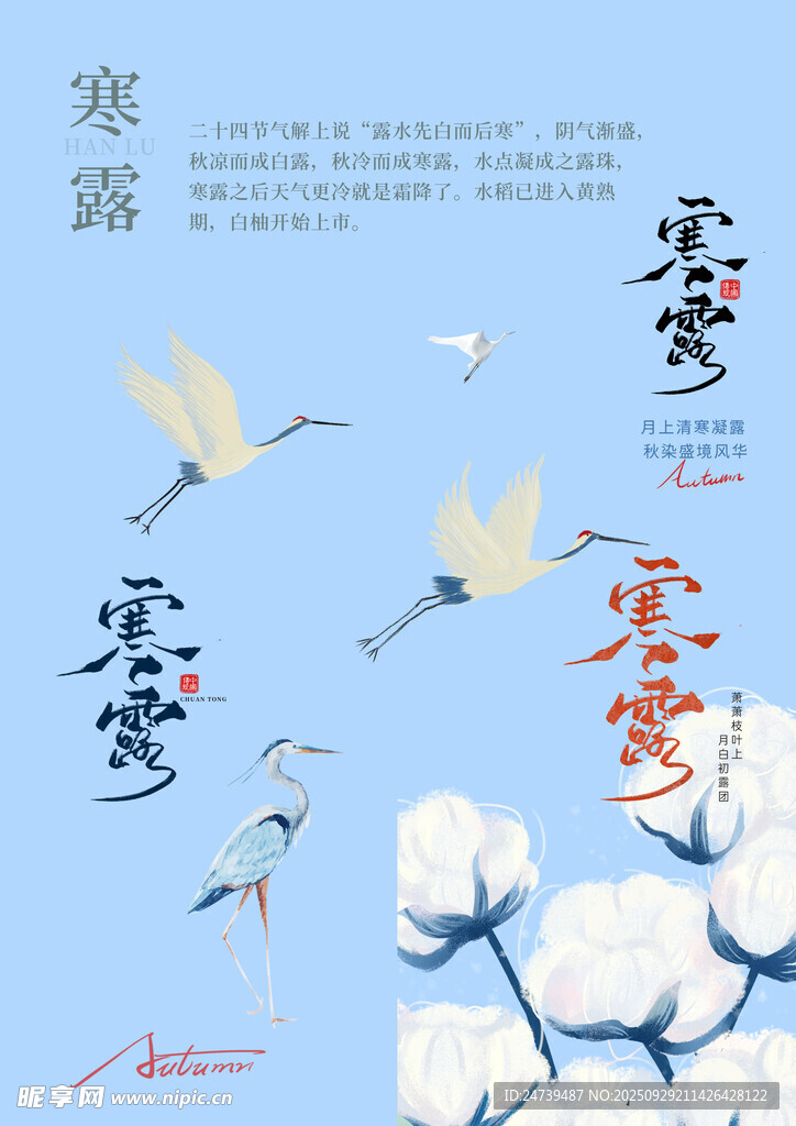 寒露素材