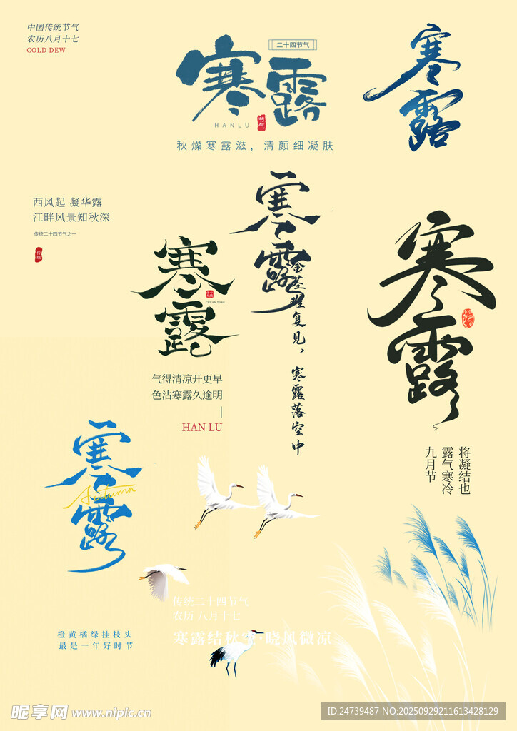 寒露素材