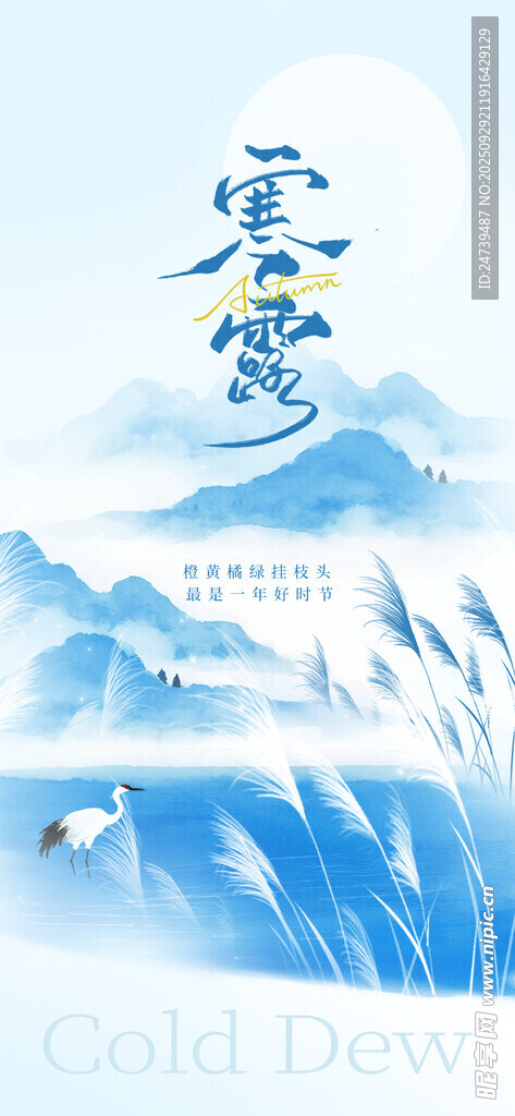 寒露海报