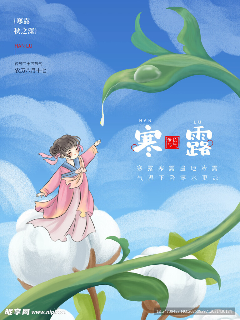 寒露海报