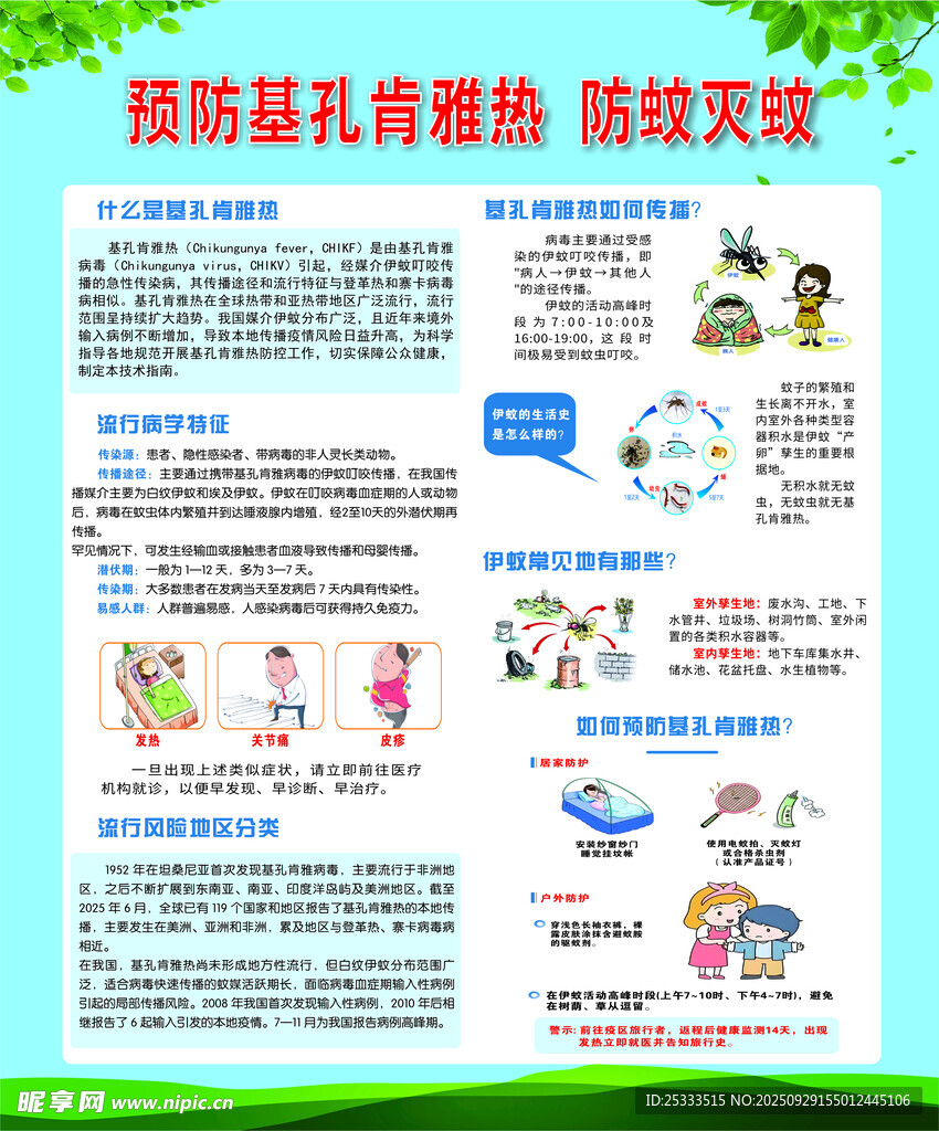 登革热  基孔肯雅热