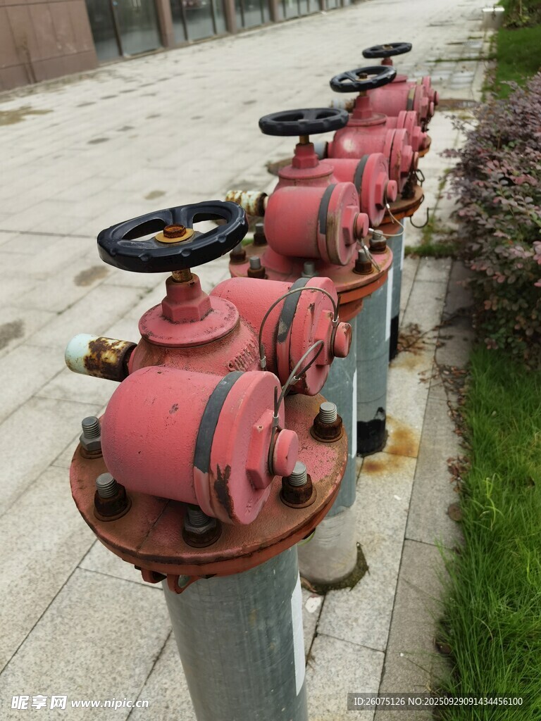 一排红色消防栓阀门