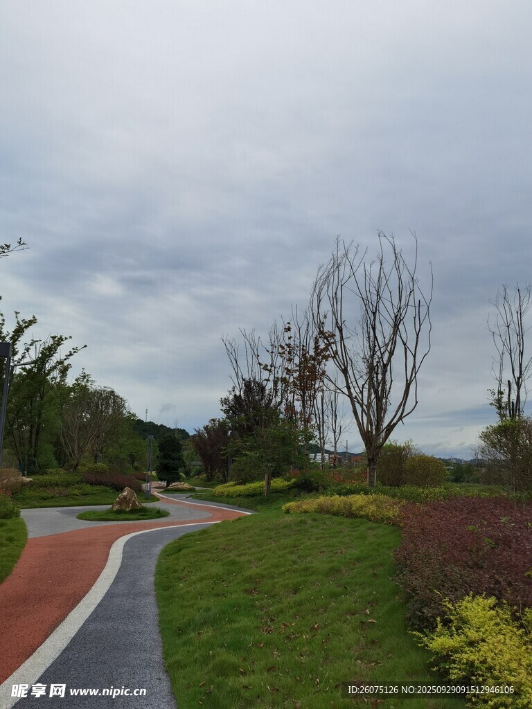 户外美丽的园林景观小径