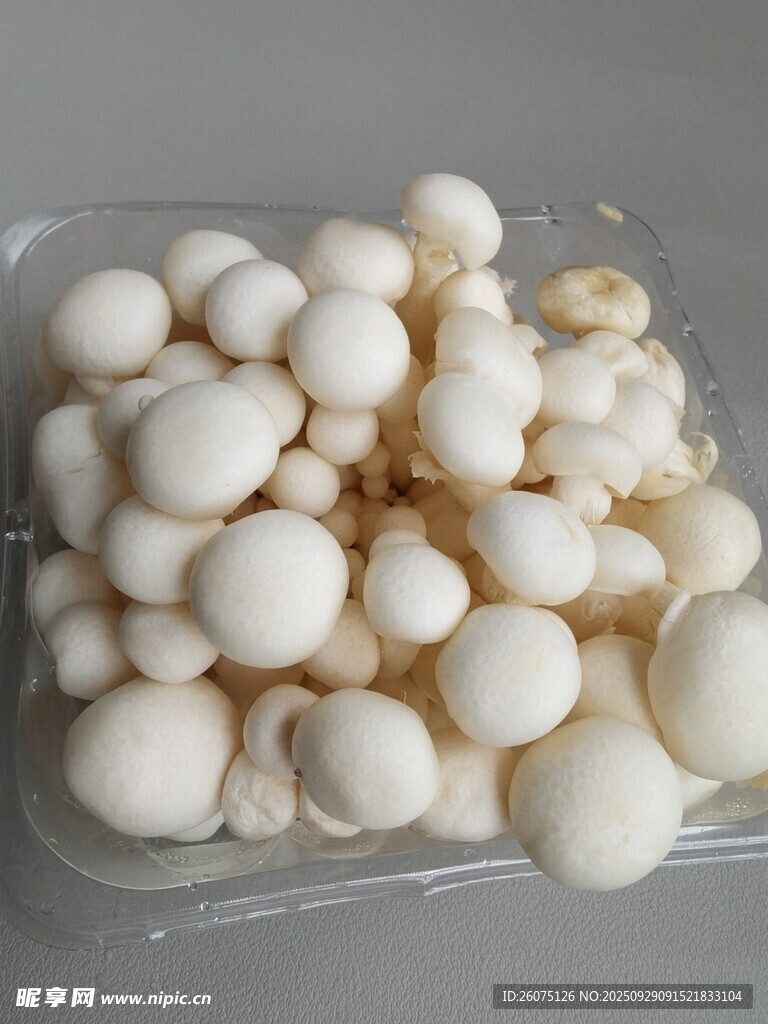 盒装新鲜白玉菇