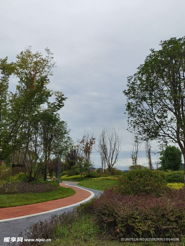蜿蜒小路旁的自然景观