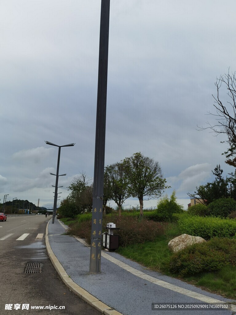 城市道路旁的绿化景观