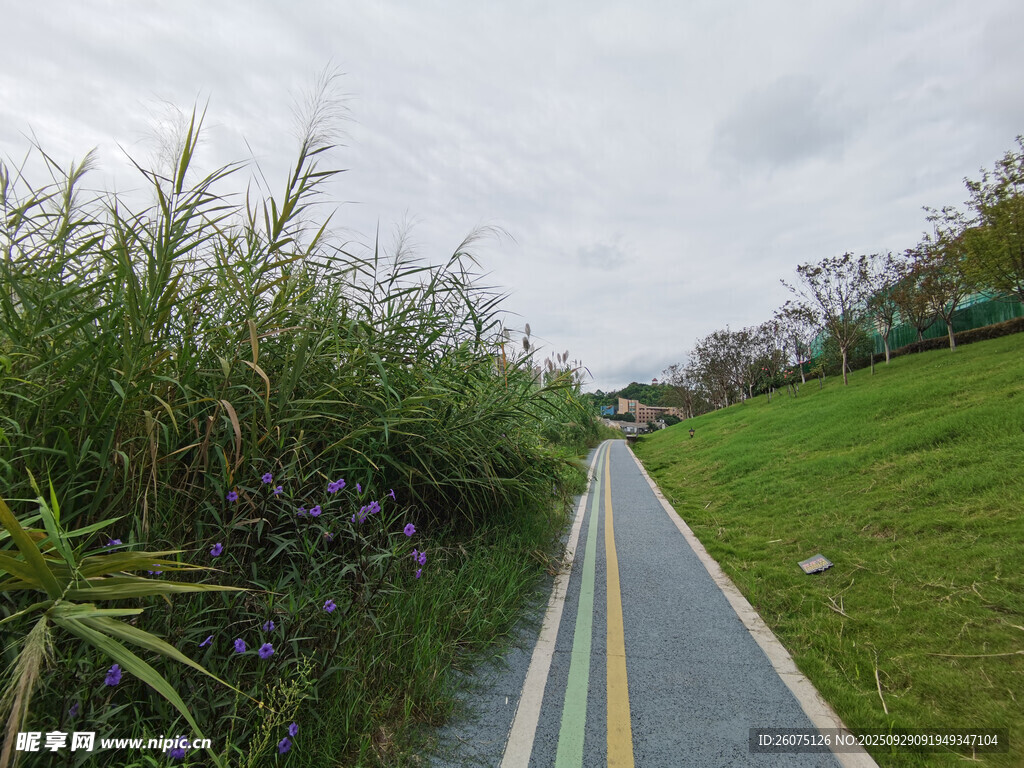 河畔步道绿植相伴的美景
