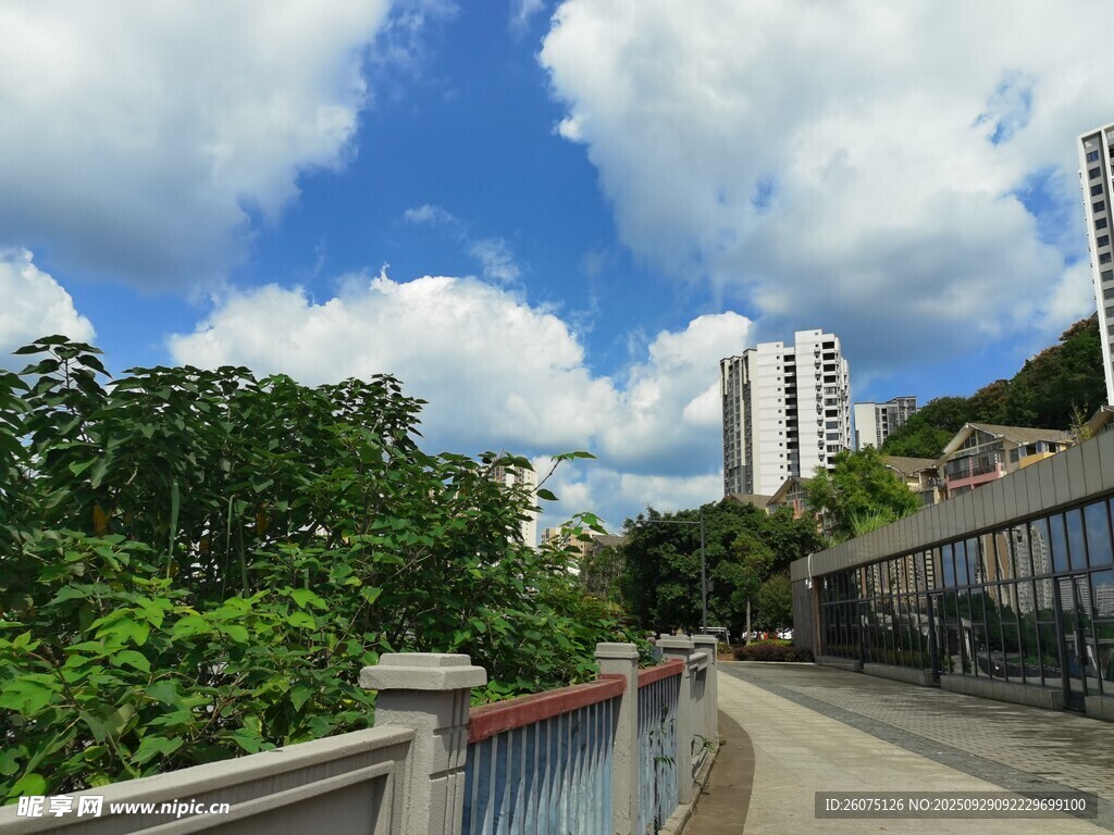 城市河畔风景