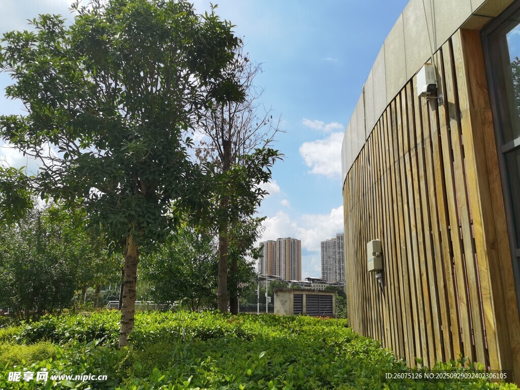 户外绿植旁的现代建筑