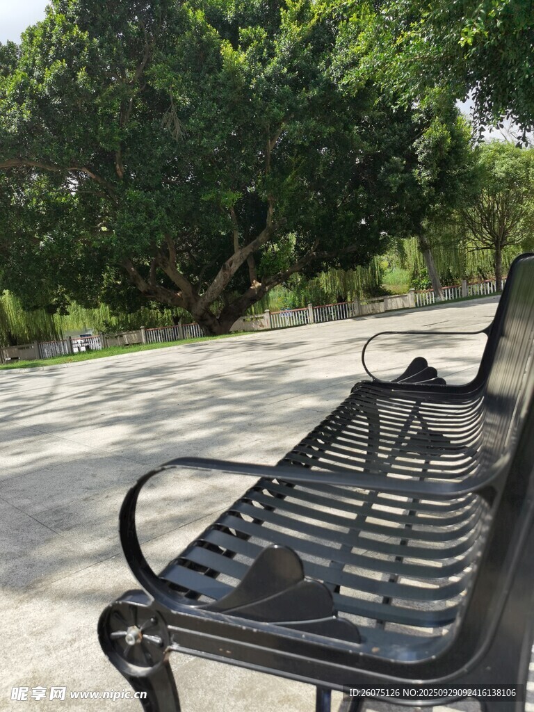 公园中静谧的黑色长椅