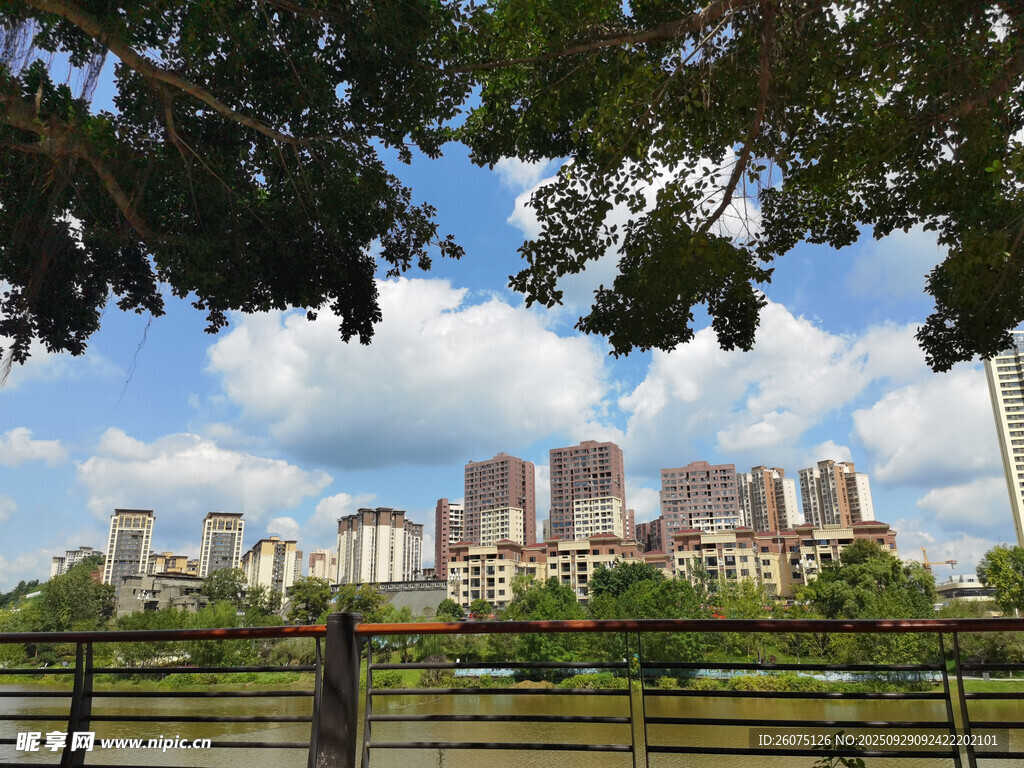 城市天际线与绿树景观