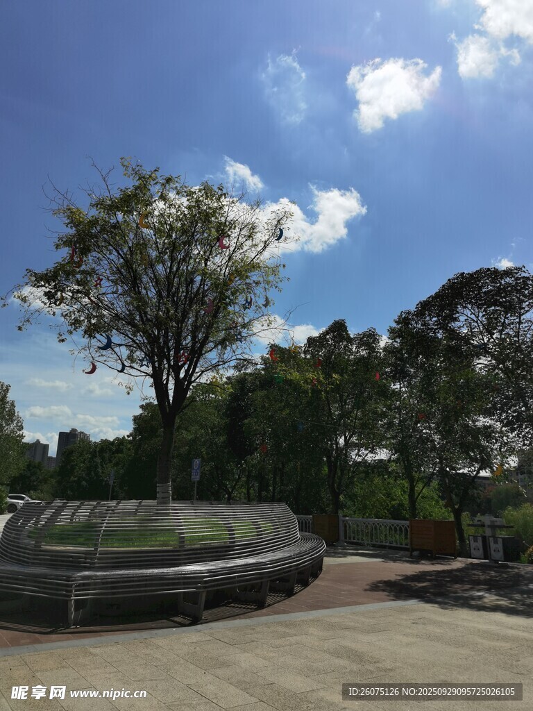 户外清新自然景观