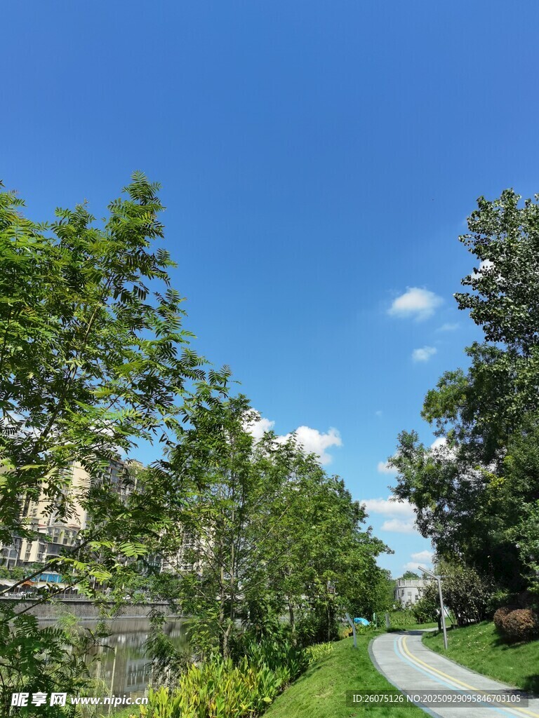 林间小径畅享自然清新