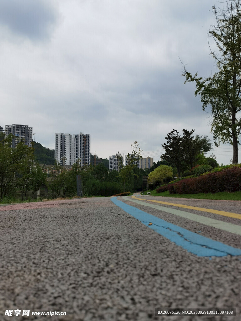 城市中彩色步道与绿植景观