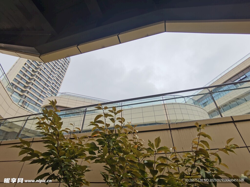 建筑中庭绿植景观