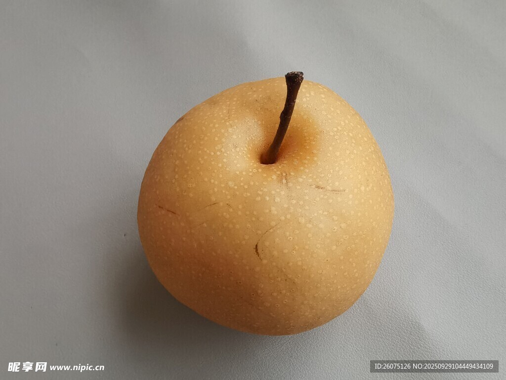 黄皮梨子特写