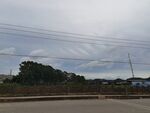乡村公路边的自然风景