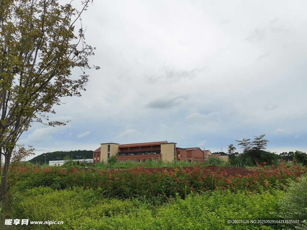 乡村田野中的红顶建筑