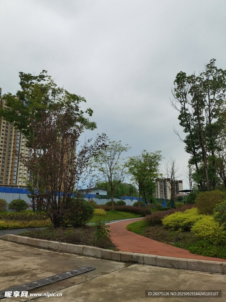 城市中宁静的绿化景观小道