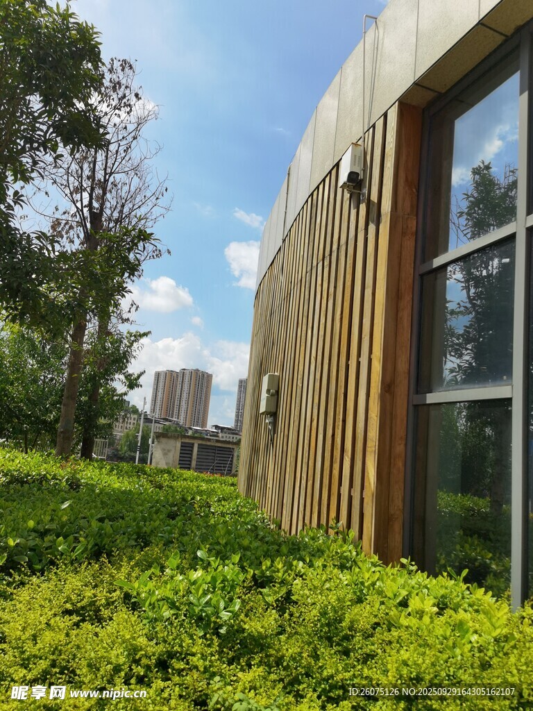 现代建筑旁的绿植景观